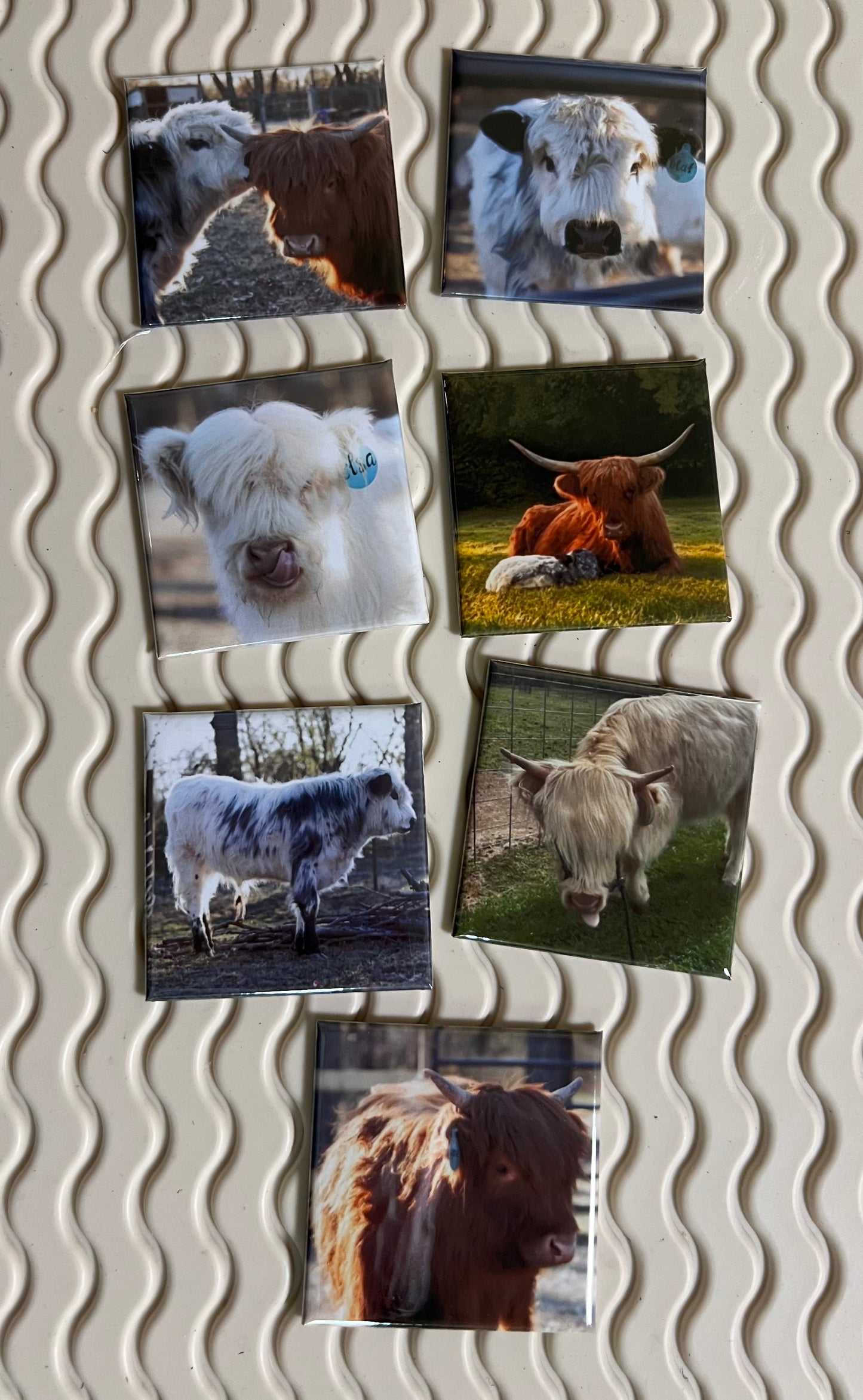 Premium custom 2x2 photo magnets, Highland cow photos for fridge or any magnetic surface.