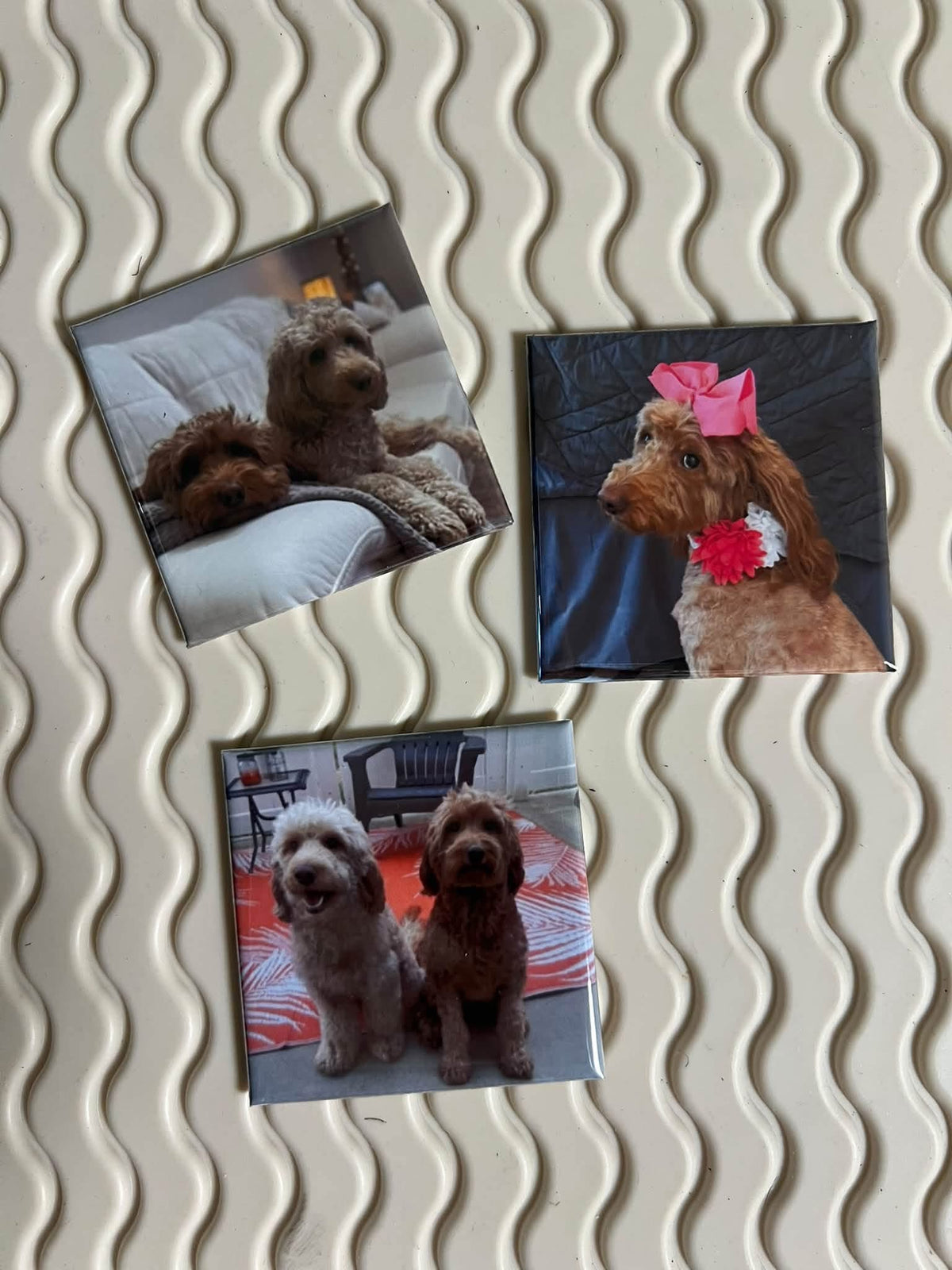 Premium custom 2x2 photo magnets, Pet dog photos for fridge or any magnetic surface.